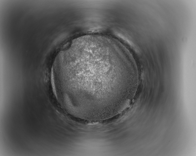 X0000094221447200711091247