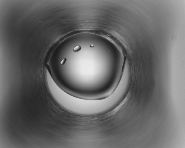 X0000094221449200711091247