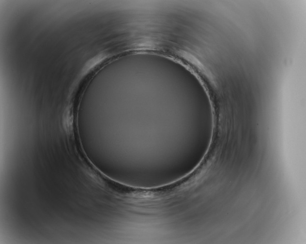 X0000094221450200711091247