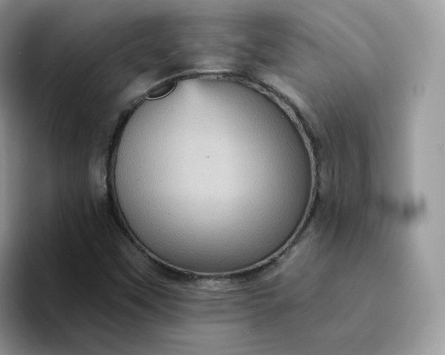 X0000094221451200711091247