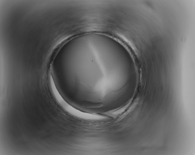 X0000094221453200711091247