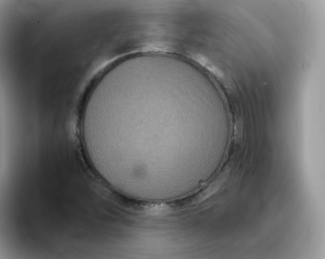 X0000094221454200711091247