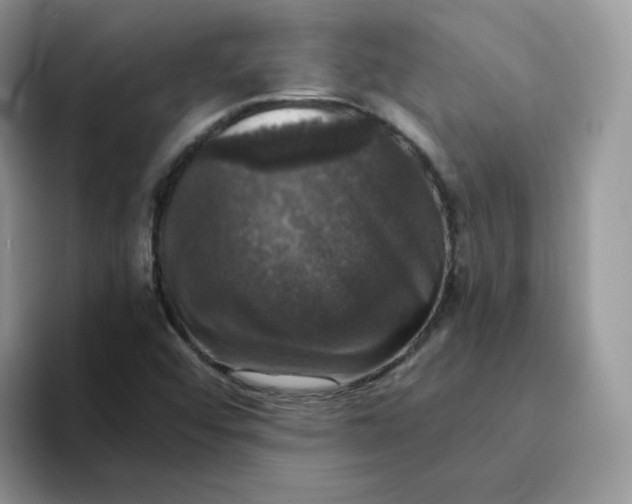 X0000094221456200711091247