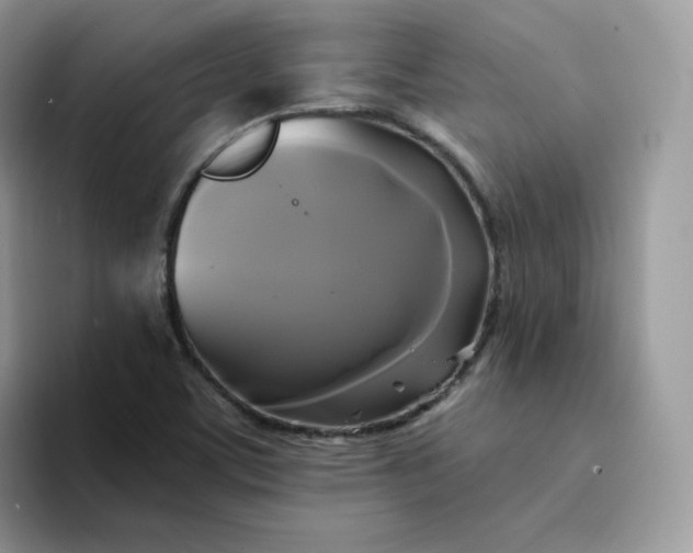 X0000094221459200711091247