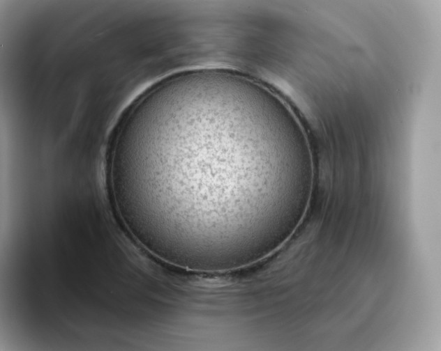 X0000094221460200711091247