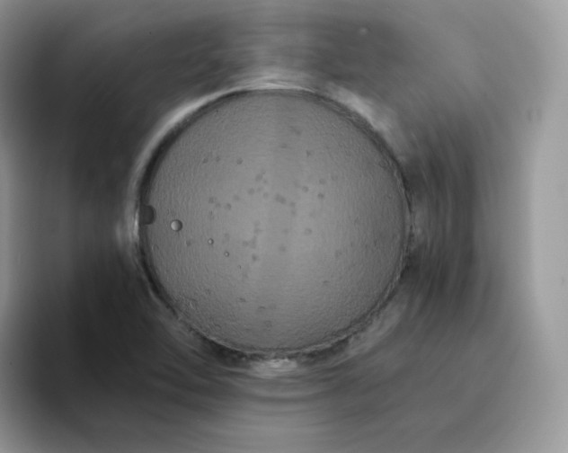 X0000094221462200711091247