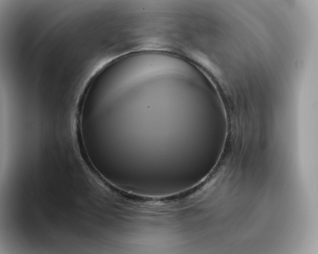 X0000094221463200711091247