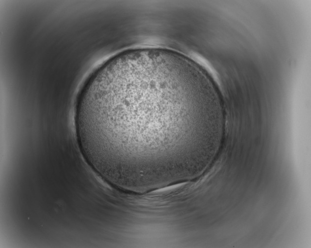 X0000094221464200711091247