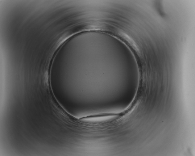 X0000094221465200711091247