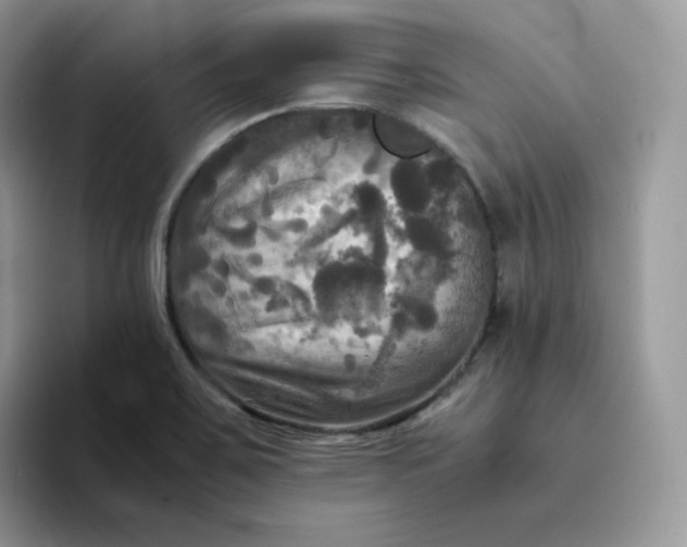 X0000094221467200711091247