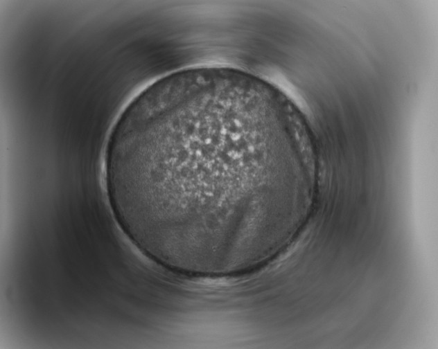 X0000094221468200711091247