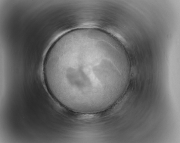 X0000094221470200711091247