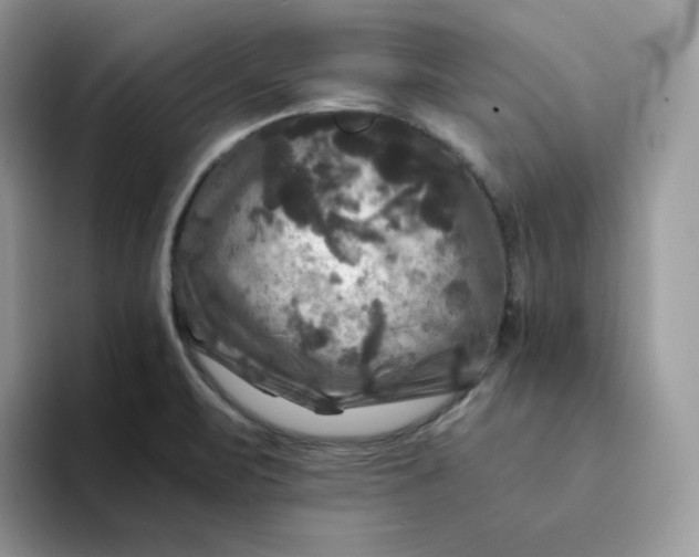 X0000094221471200711091247