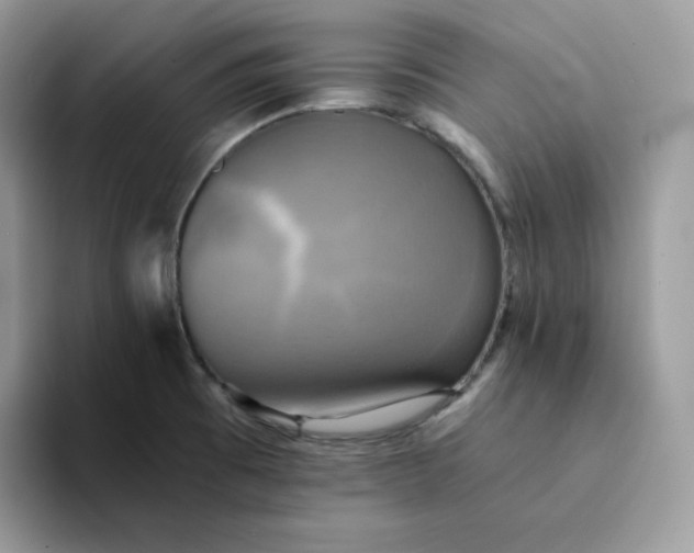 X0000094221473200711091247