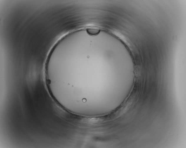 X0000094221474200711091247