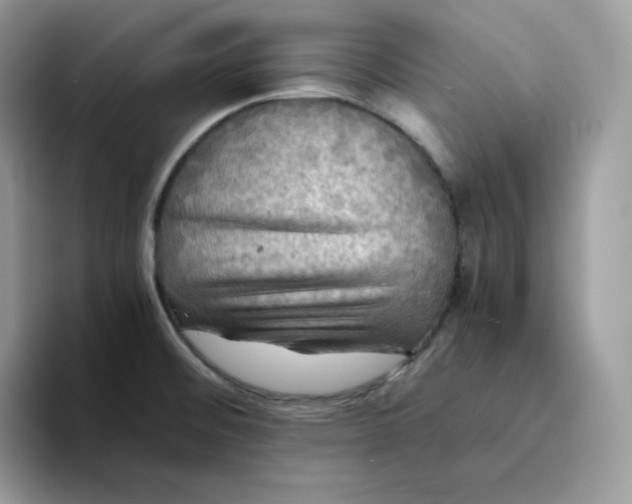 X0000094221476200711091247