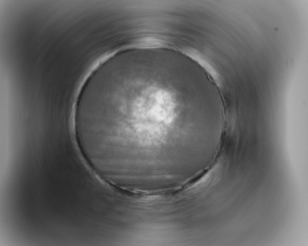 X0000094221477200711091247