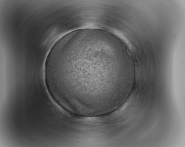 X0000094221479200711091247