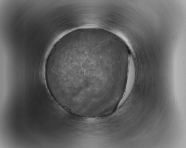 X0000094221480200711091247