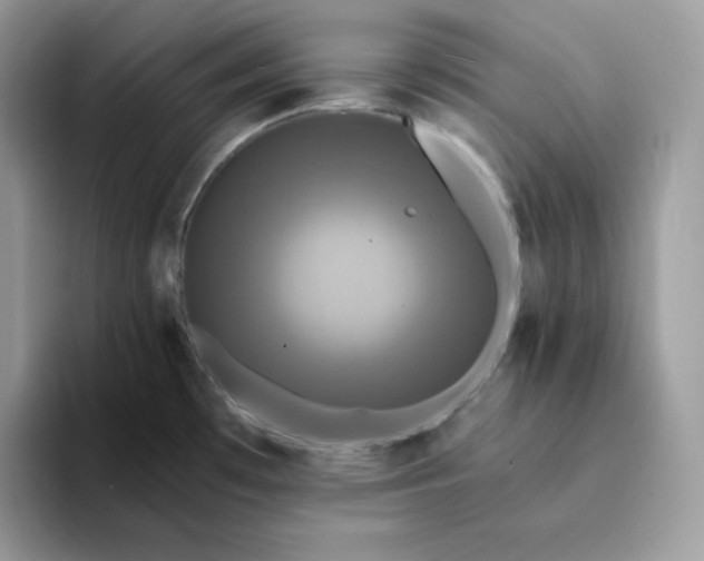 X0000094221481200711091247