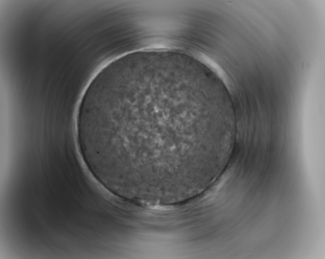 X0000094221483200711091247