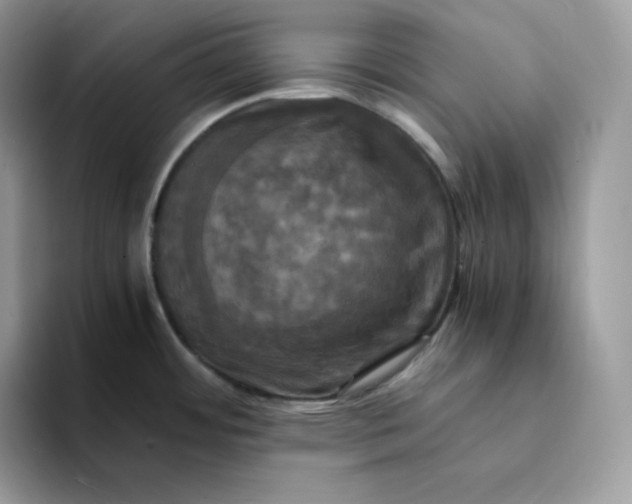 X0000094221484200711091247