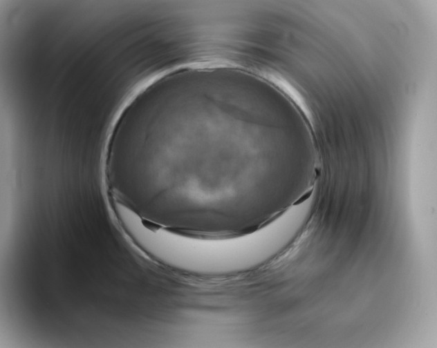 X0000094221485200711091247