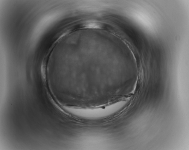 X0000094221487200711091247