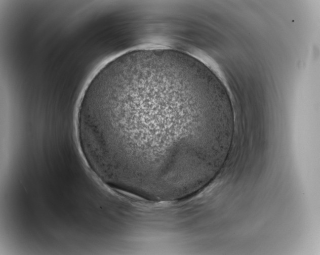 X0000094221488200711091247