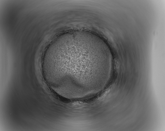 X0000094221489200711091246