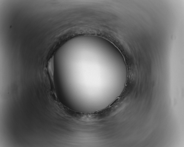 X0000094221490200711091246