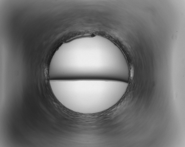 X0000094221492200711091246