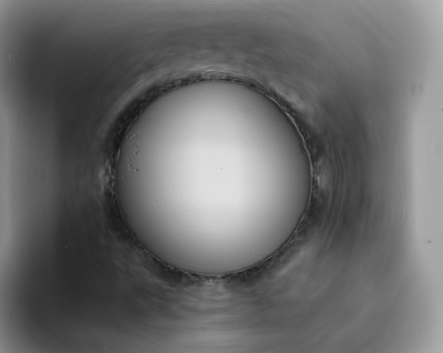 X0000094221495200711091246