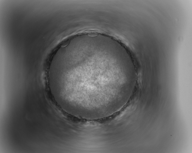 X0000094221496200711091246