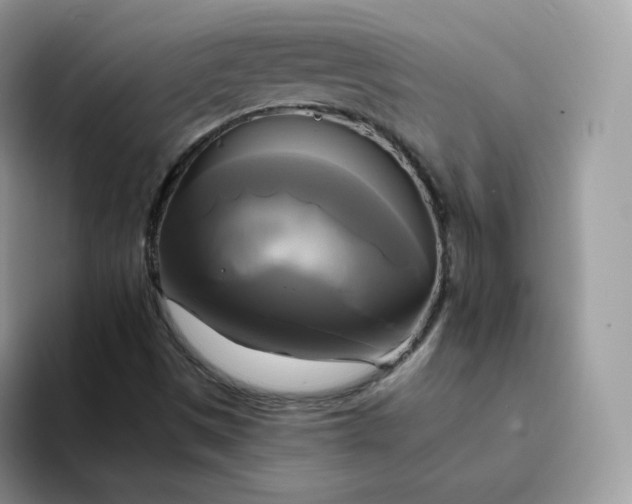 X0000094221497200711091246