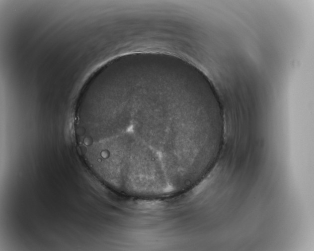 X0000094221498200711091246