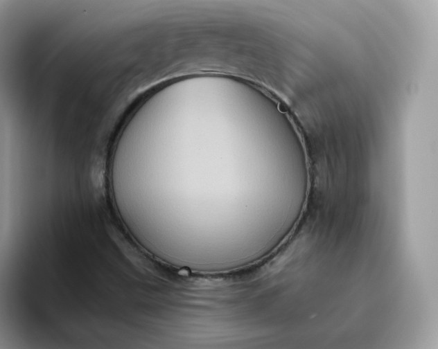 X0000094221499200711091246