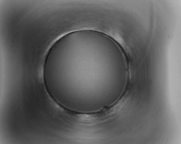 X0000094221500200711091246