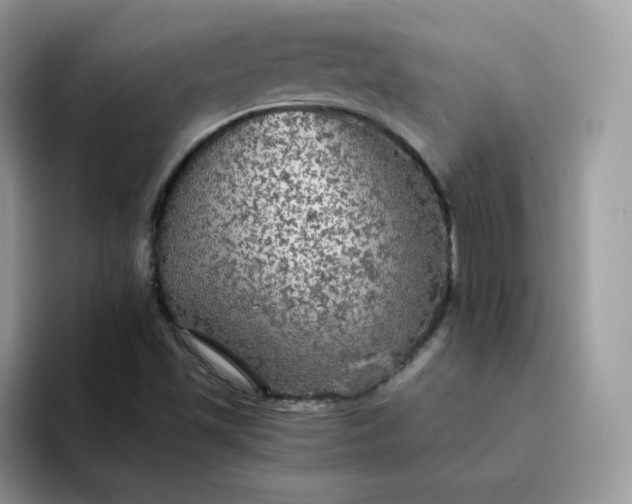 X0000094221501200711091246