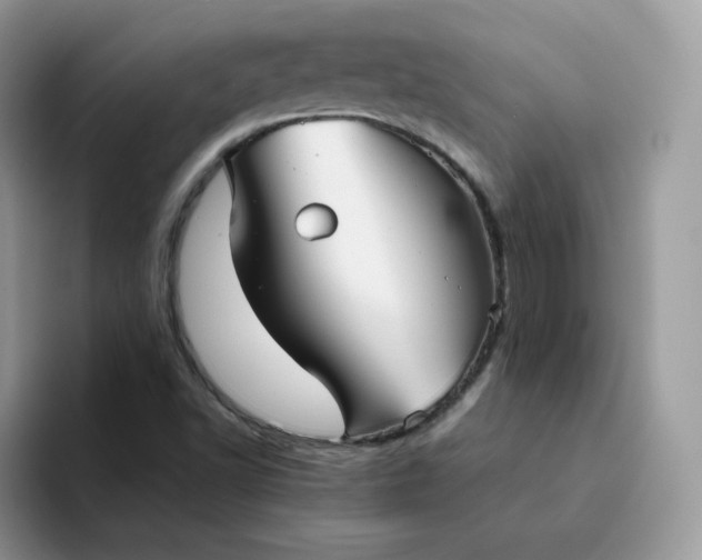 X0000094221502200711091246