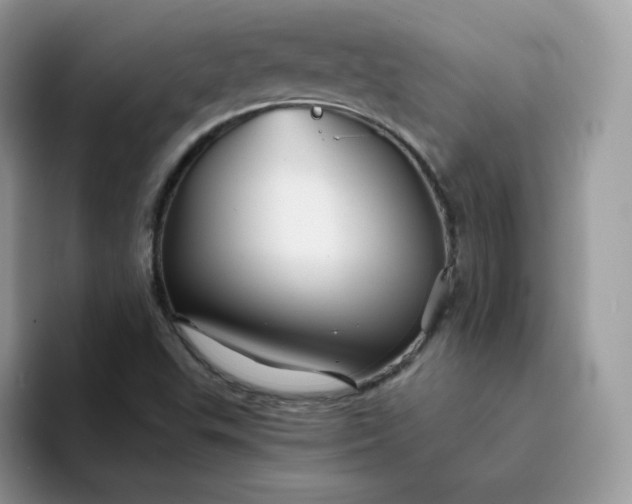 X0000094221503200711091246