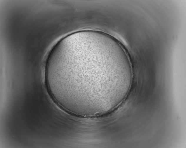 X0000094221504200711091246