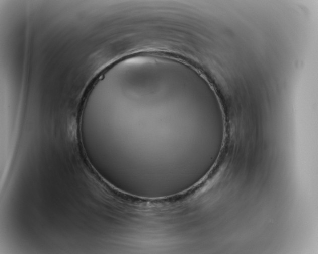 X0000094221505200711091246