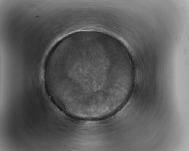 X0000094221506200711091246