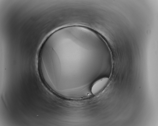 X0000094221508200711091246