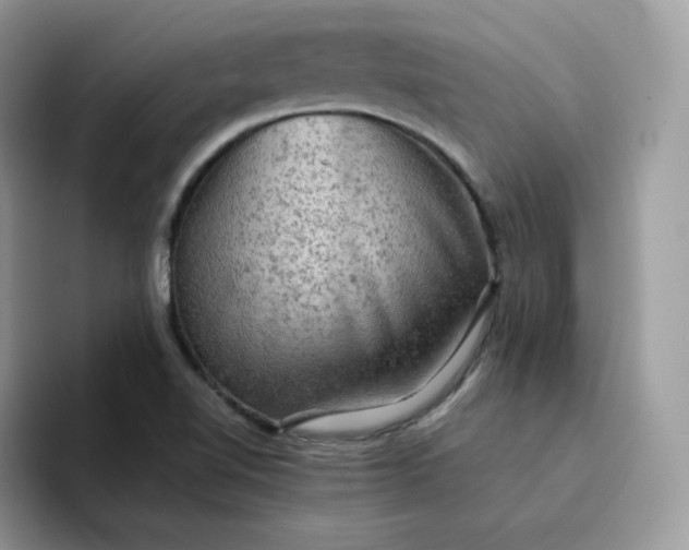 X0000094221510200711091246