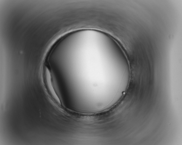 X0000094221511200711091246