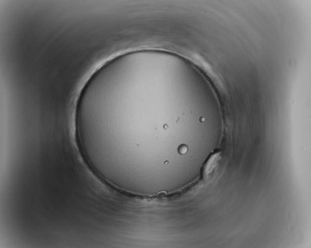 X0000094221512200711091246