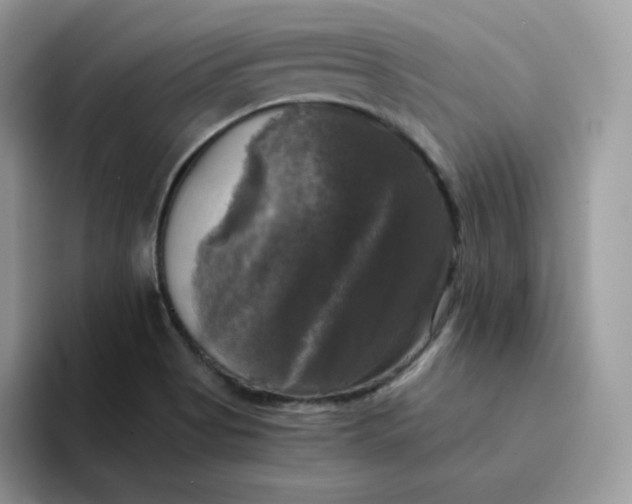 X0000094221513200711091246