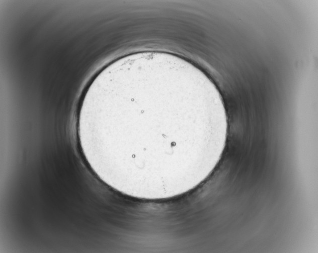 X0000094221514200711091246